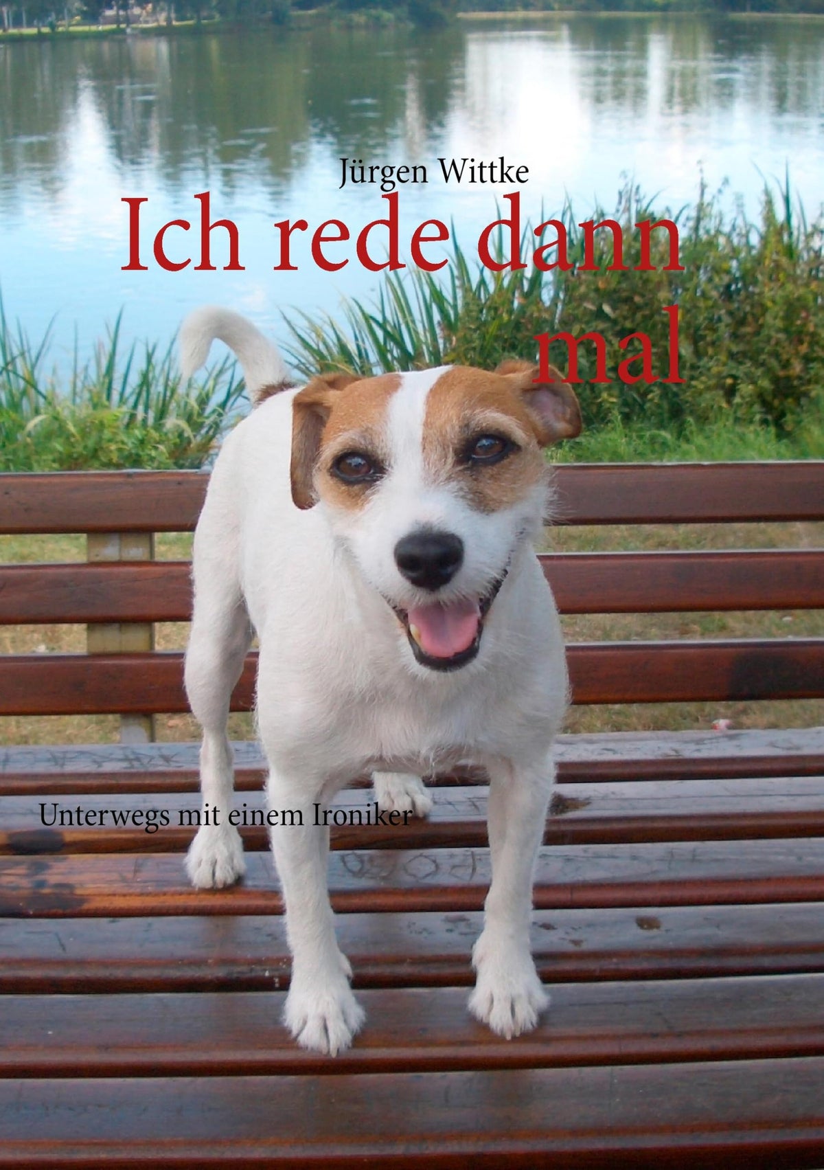 Ich rede dann mal: Unterwegs mit einem Ironiker