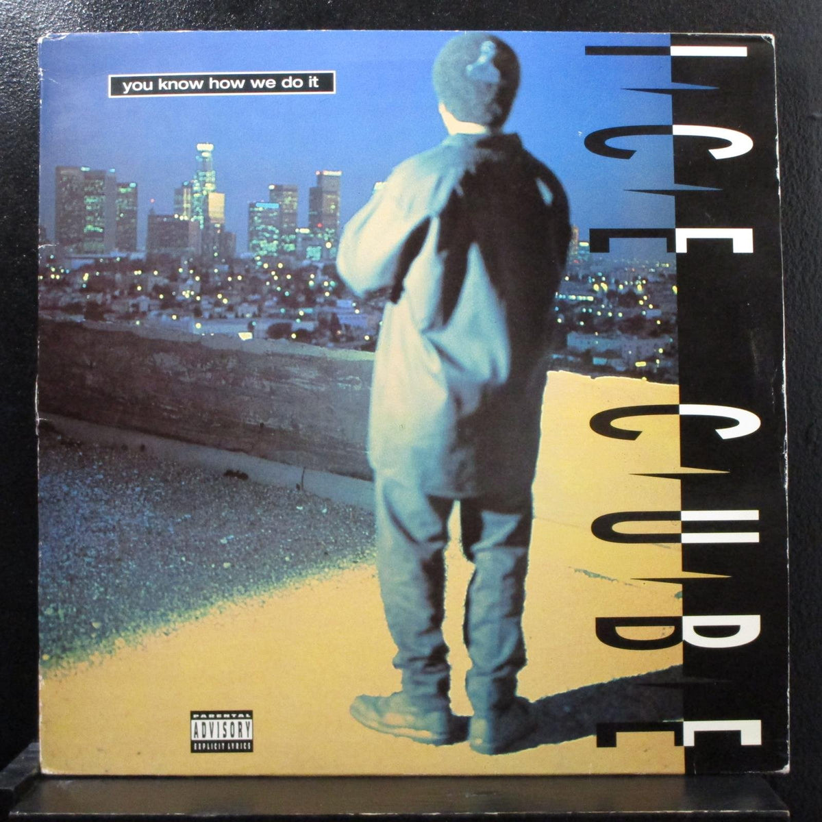 You Know How We Do It [Vinyl]