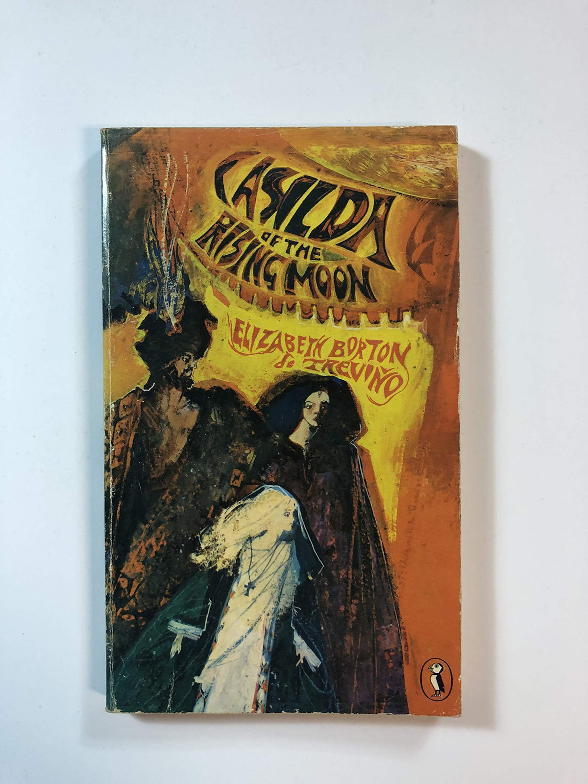 Casilda of the Rising Moon (Puffin Books)
