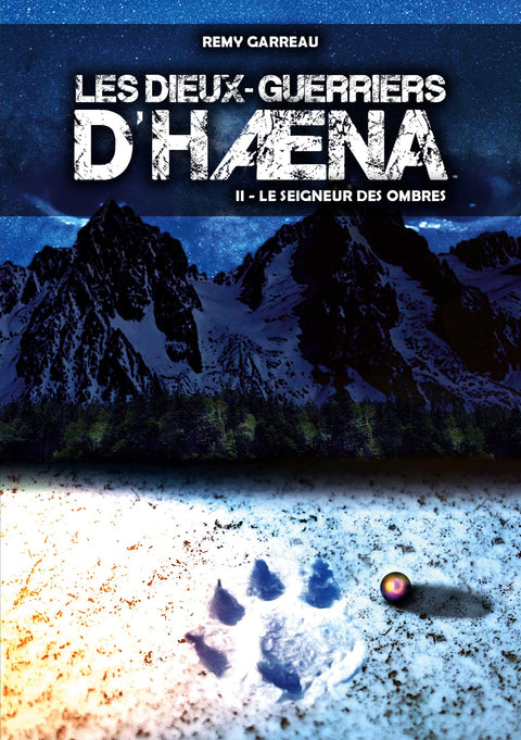 Le Seigneur des Ombres (French Edition)