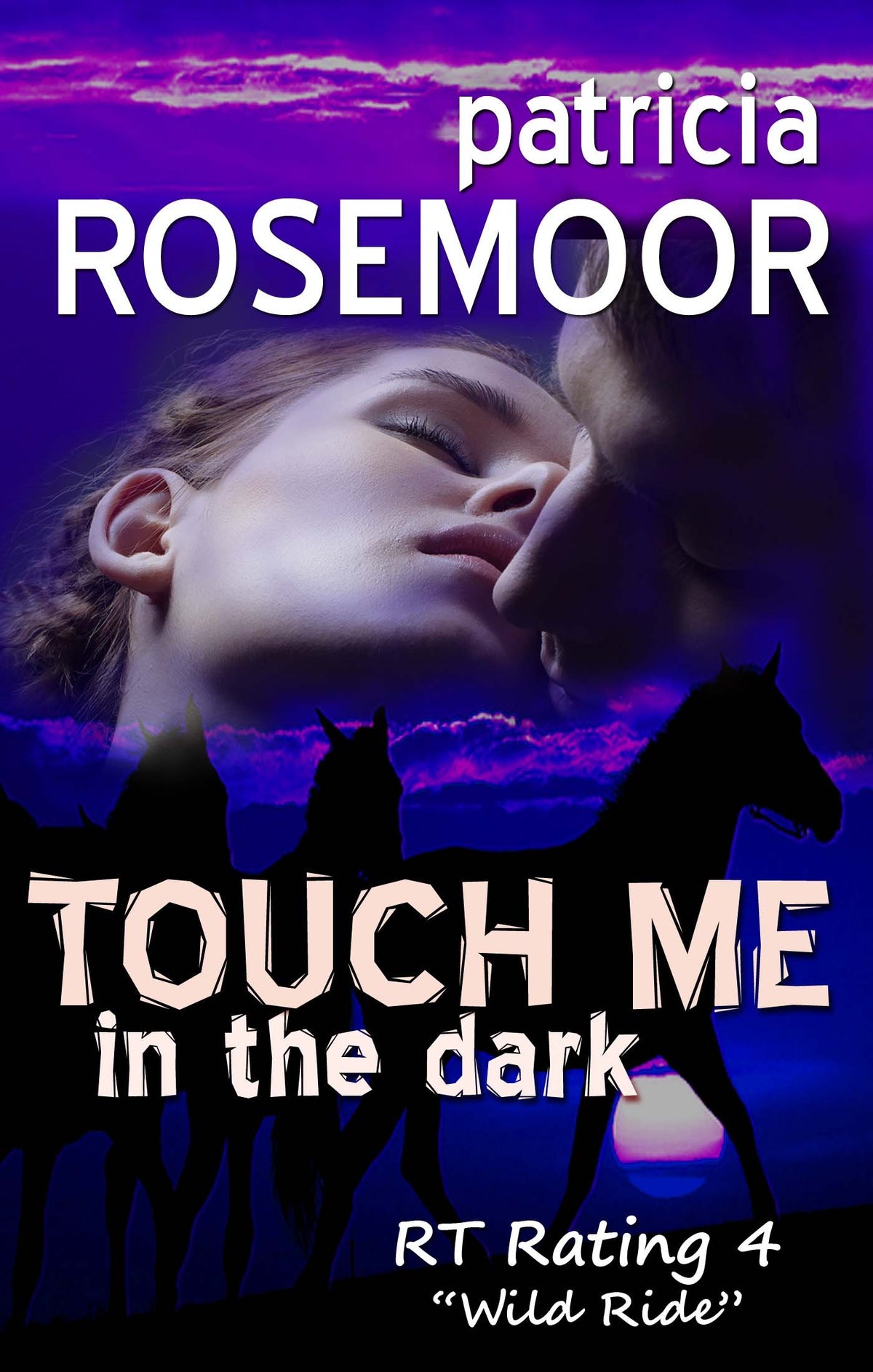 Touch Me in the Dark (Dangerous to Love USA: South Dakota #41)