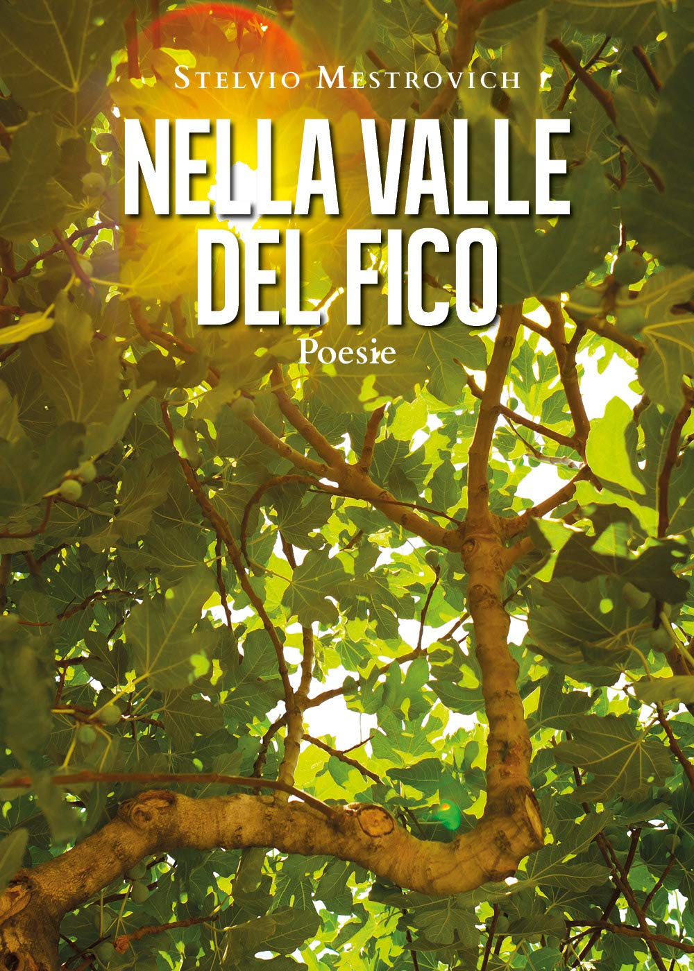 Nella Valle del Fico. Poesie (Italian Edition)