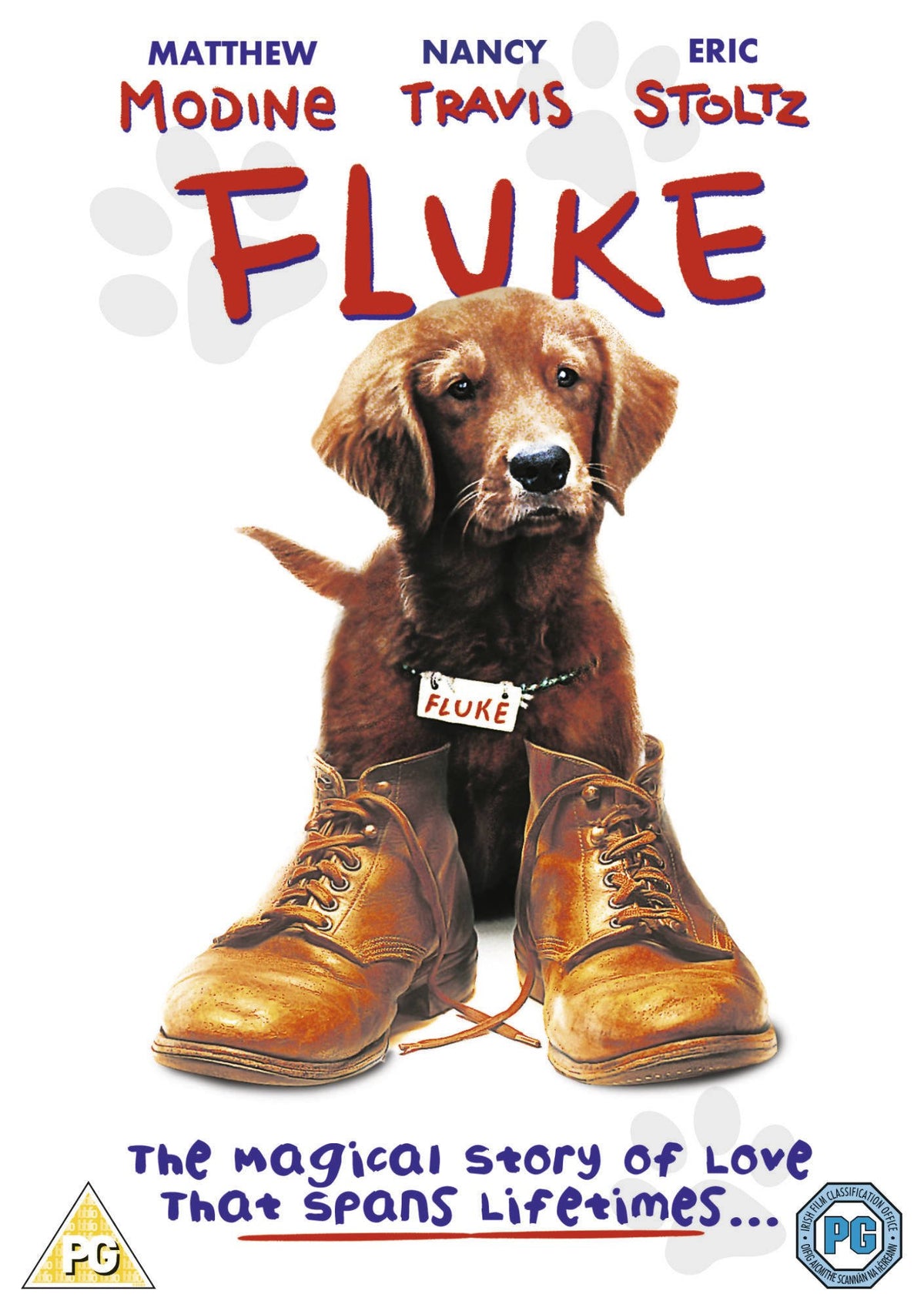 Fluke