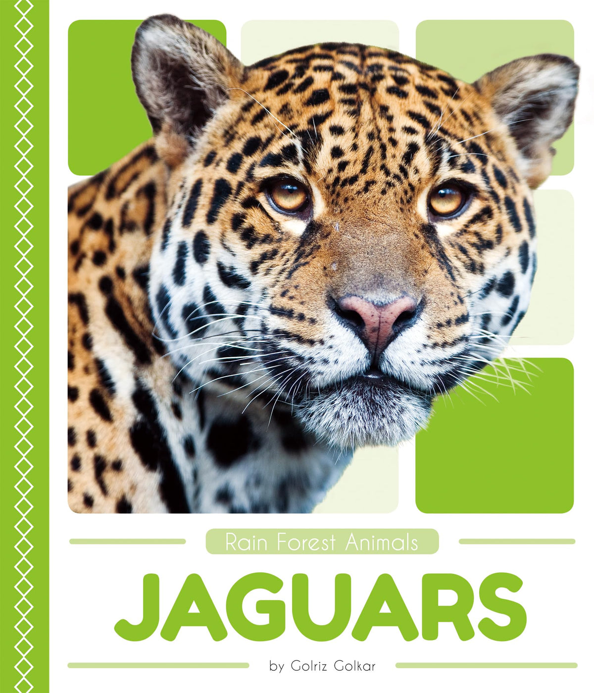 Jaguars (Rain Forest Animals)