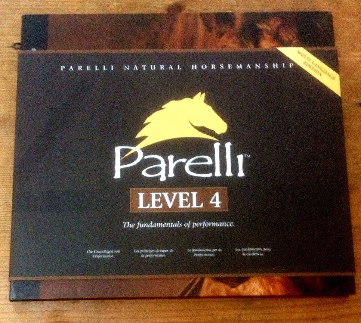 Parelli Pathway Level 4