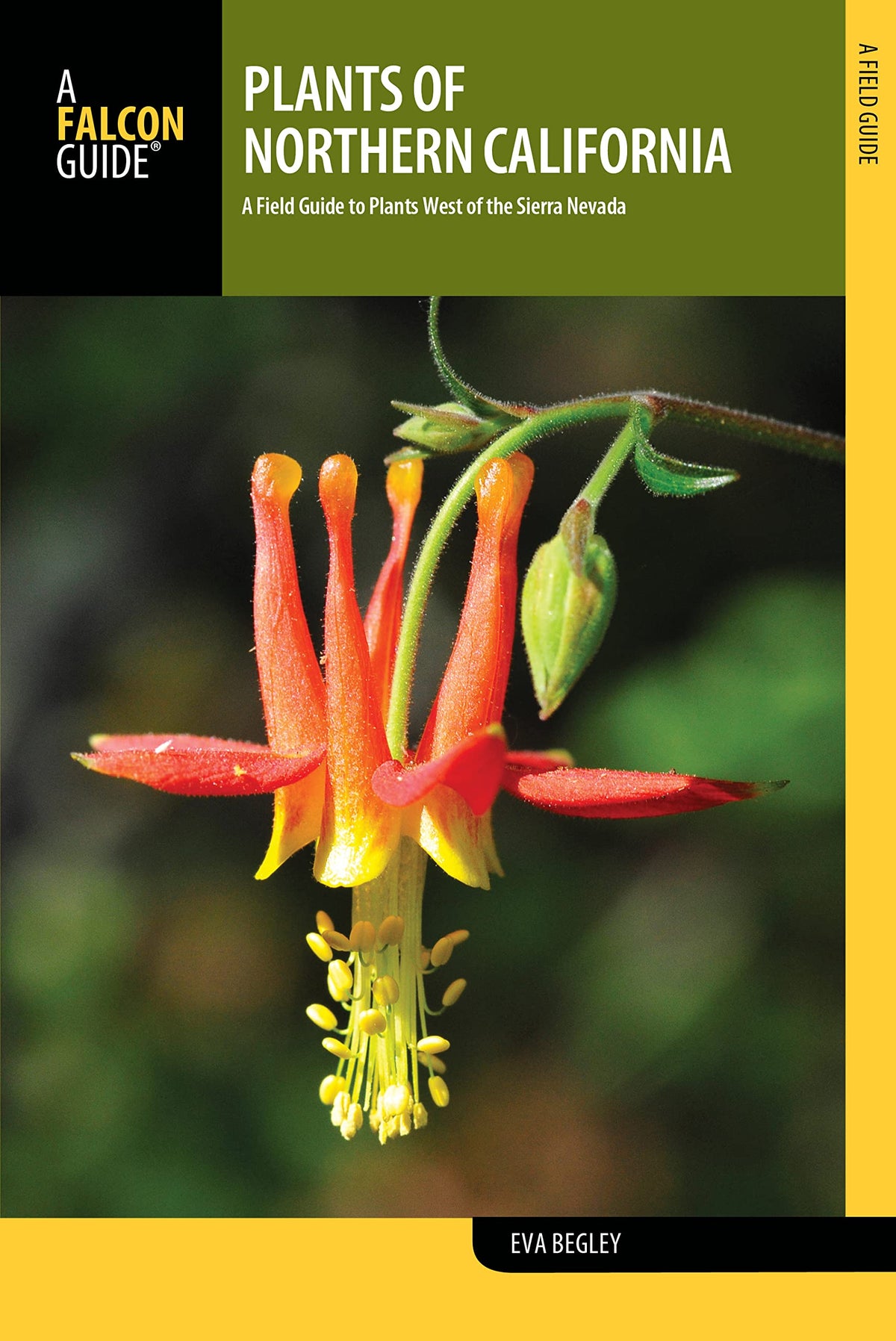 Plants of Northern California: A Field Guide to Plants West of the Sierra Nevada (FalconGuides)