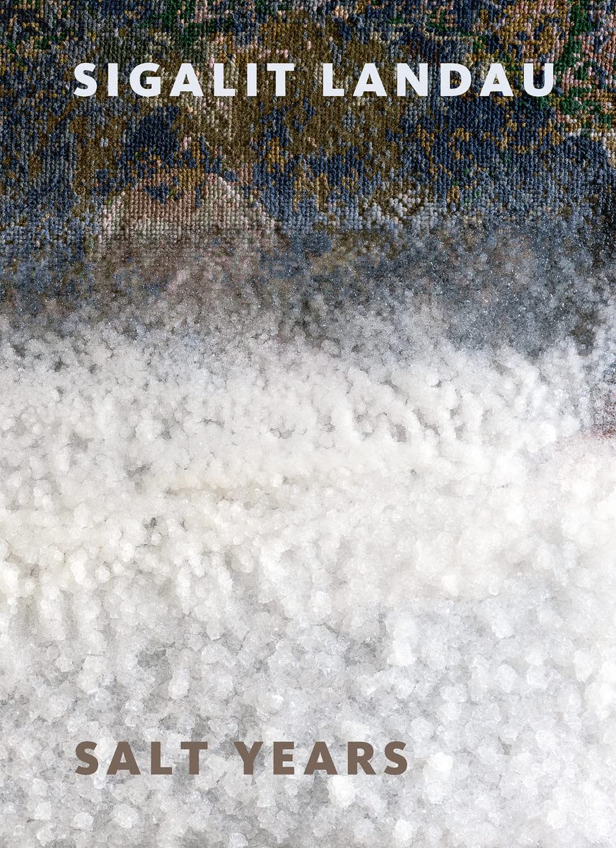 Sigalit Landau: Salt Years