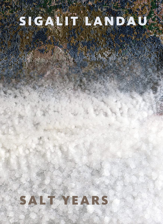 Sigalit Landau: Salt Years
