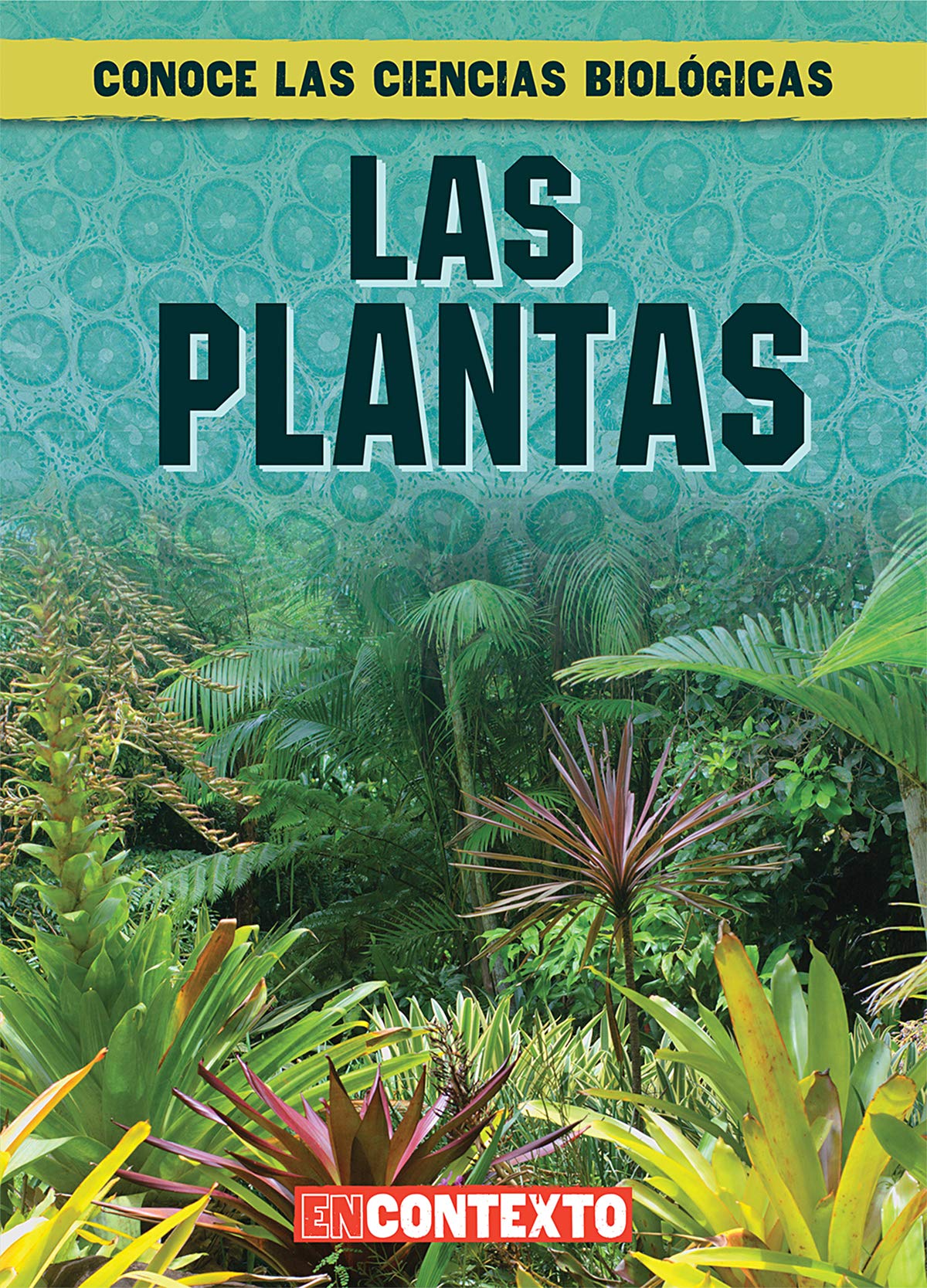 Las plantas/ What Are Plants? (Conoce las ciencias biológicas/ A Look at Life Science) (Spanish Edition)
