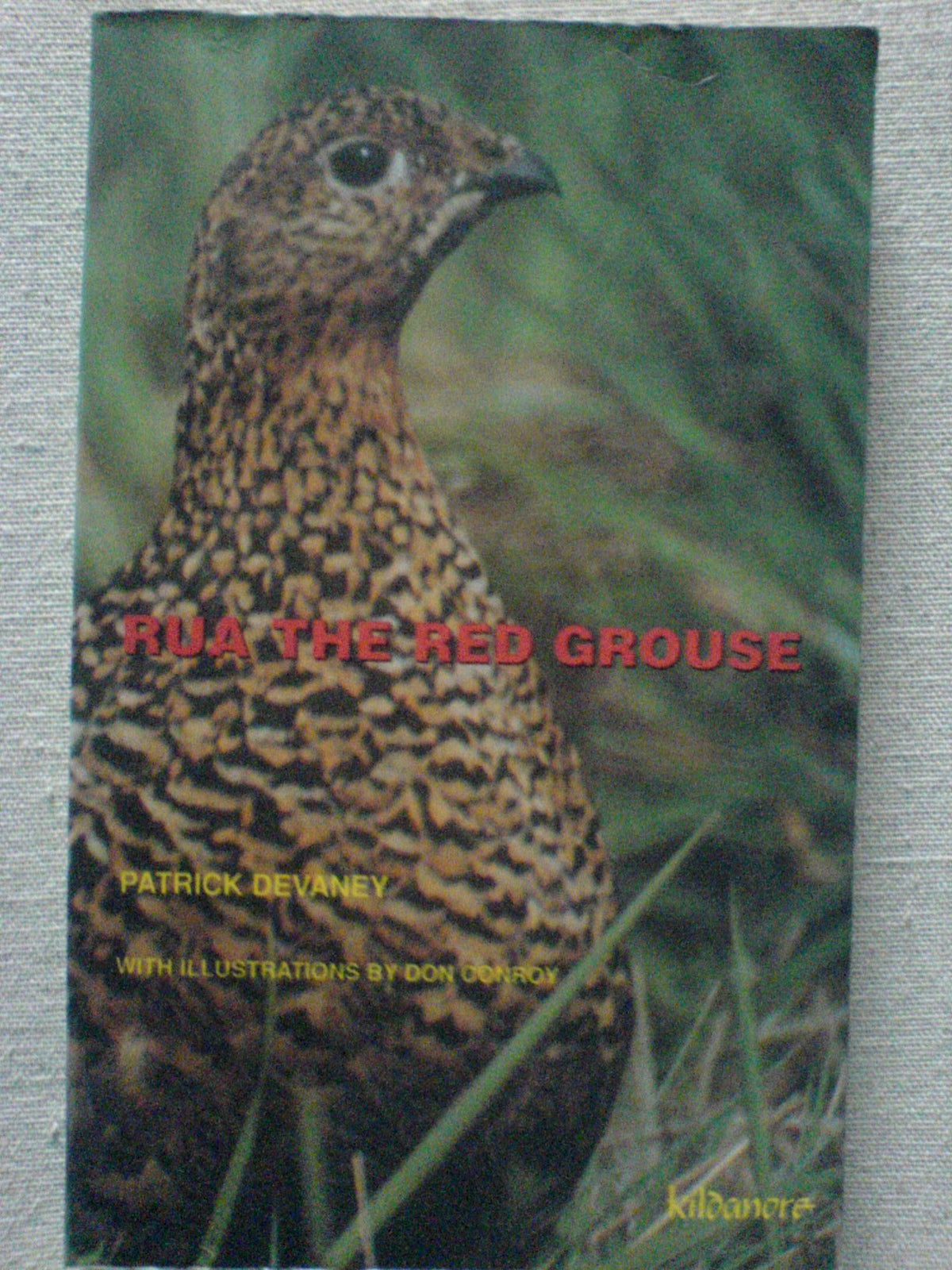 Rua the Red Grouse