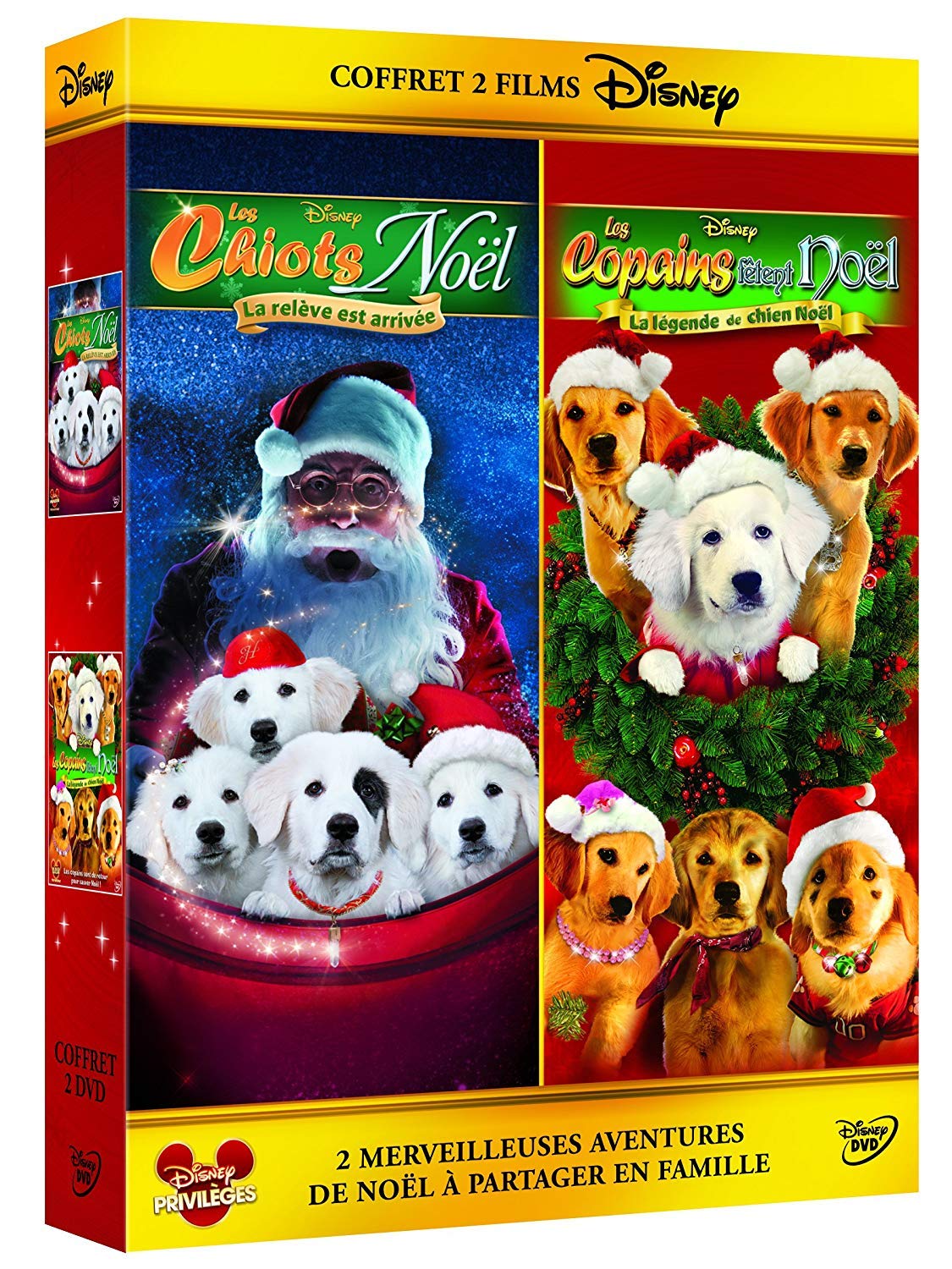 Les Chiots Noël, la relève est arrivée + Les copains fêtent Noël
