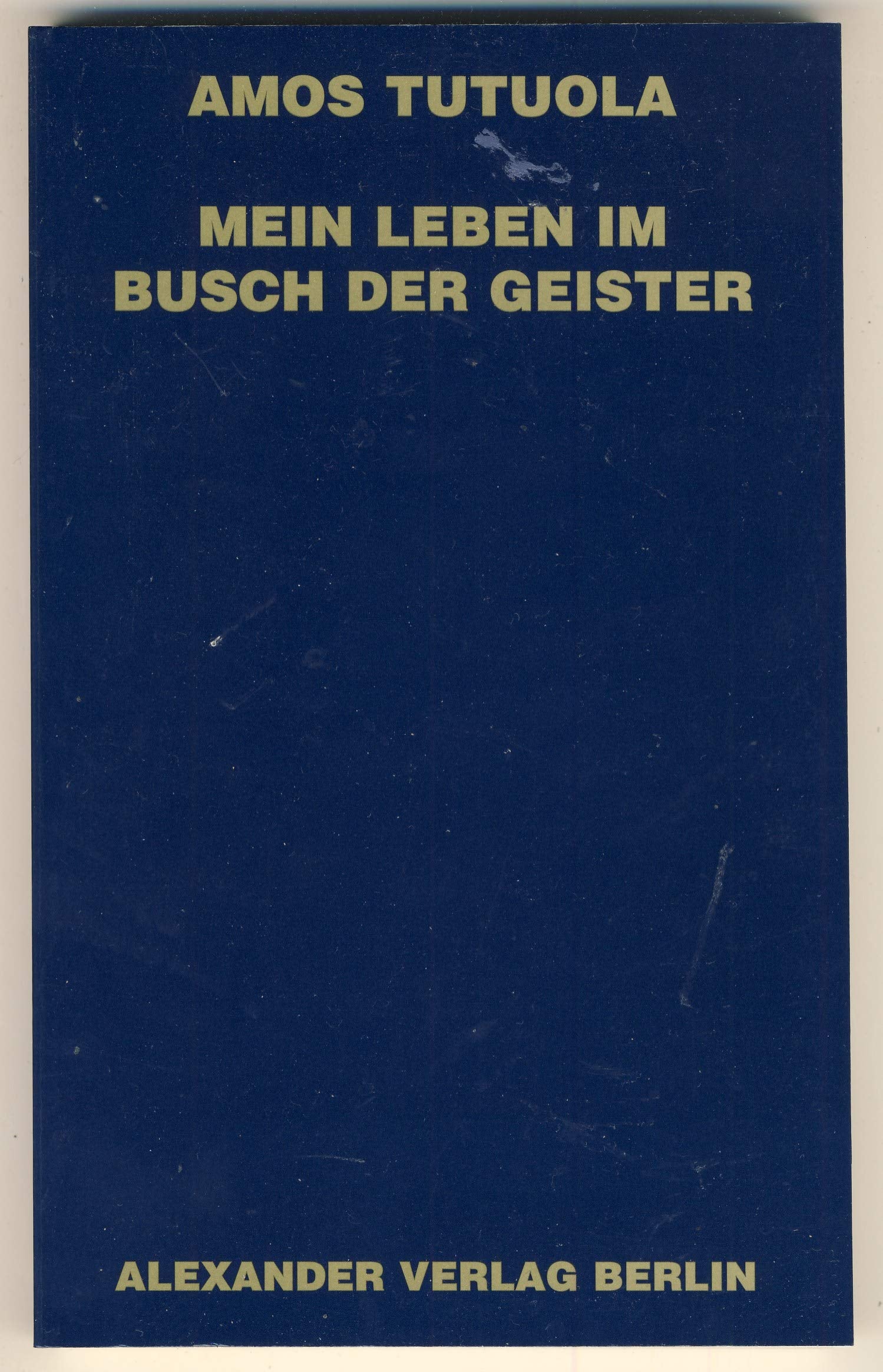Mein Leben im Busch der Geister (Livre en allemand)