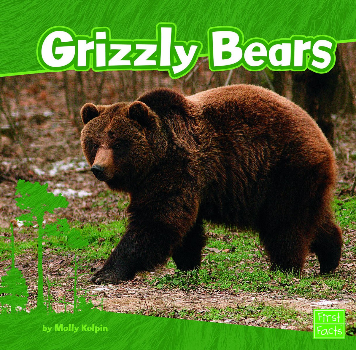 Grizzly Bears (First Facts)
