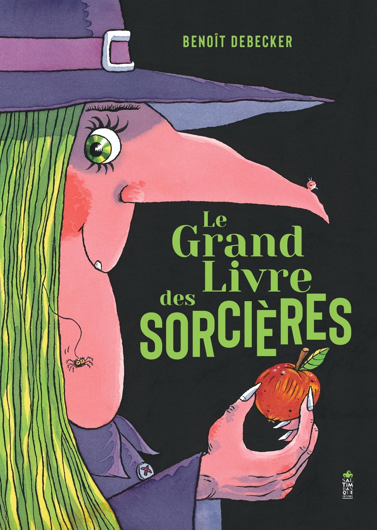 Le grand livre des sorcières
