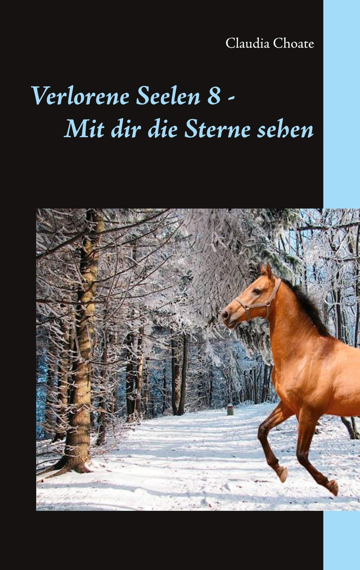 Verlorene Seelen 8 - Mit dir die Sterne sehen (German Edition)