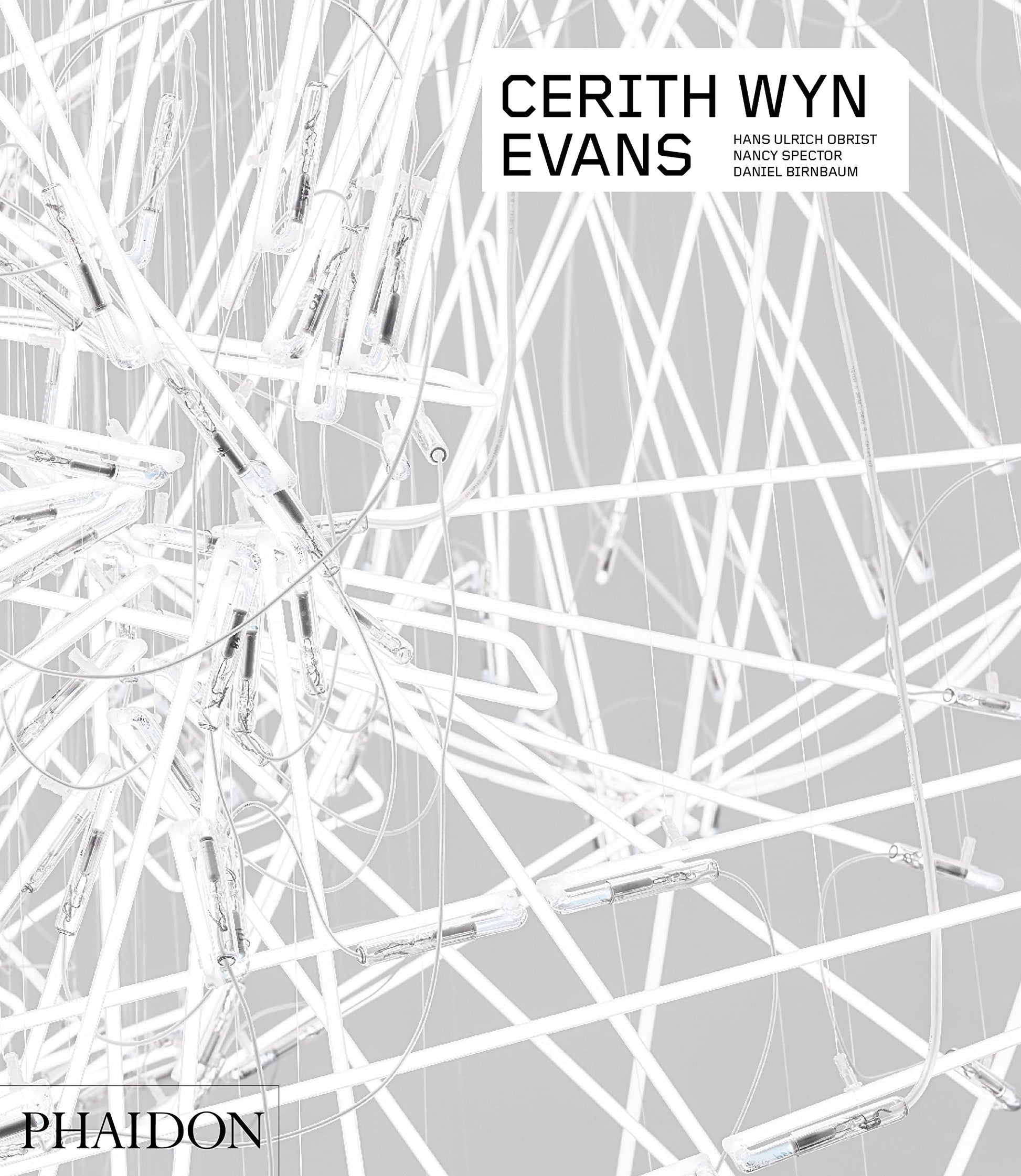 Cerith Wyn Evans (Phaidon Contemporary Artists Series)