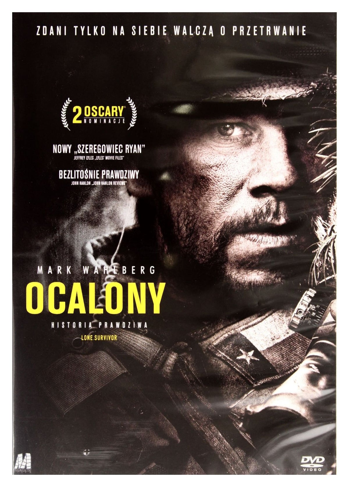 Lone Survivor [DVD] (English audio)