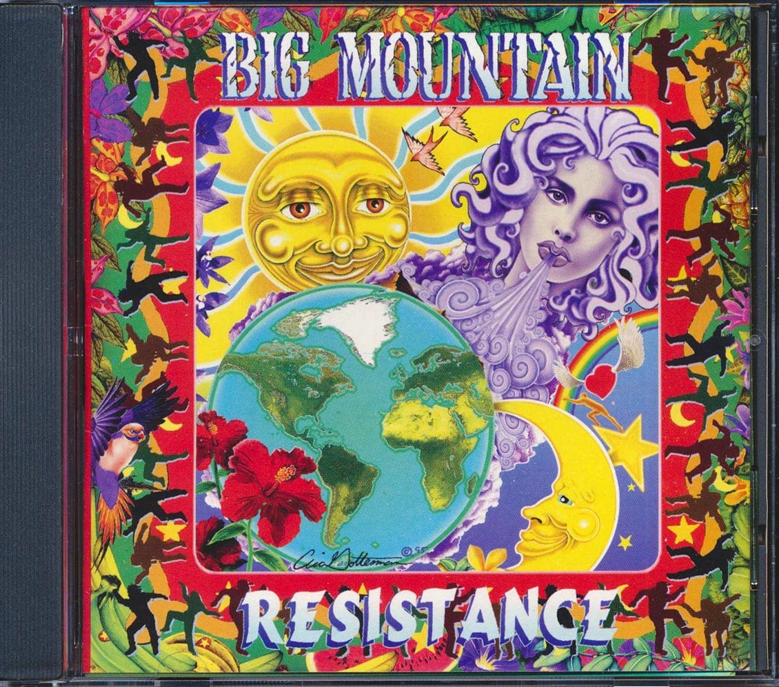 Resistance by Big Mountain