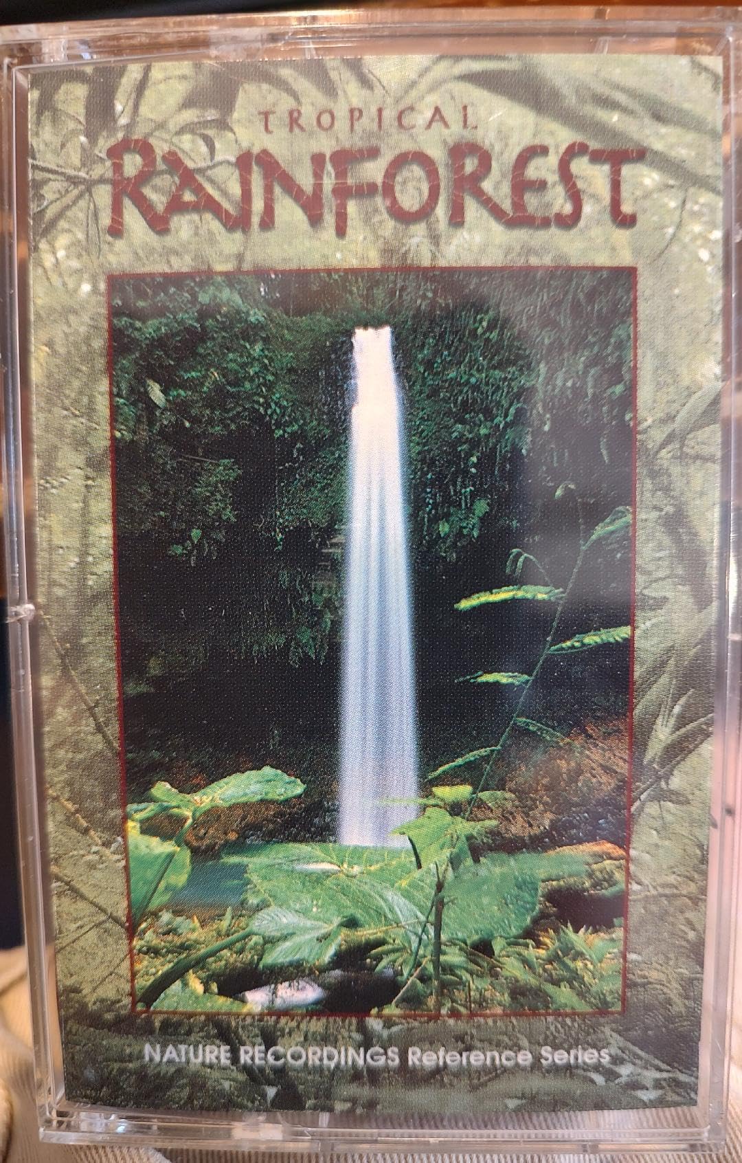 Tropical Rain Forest