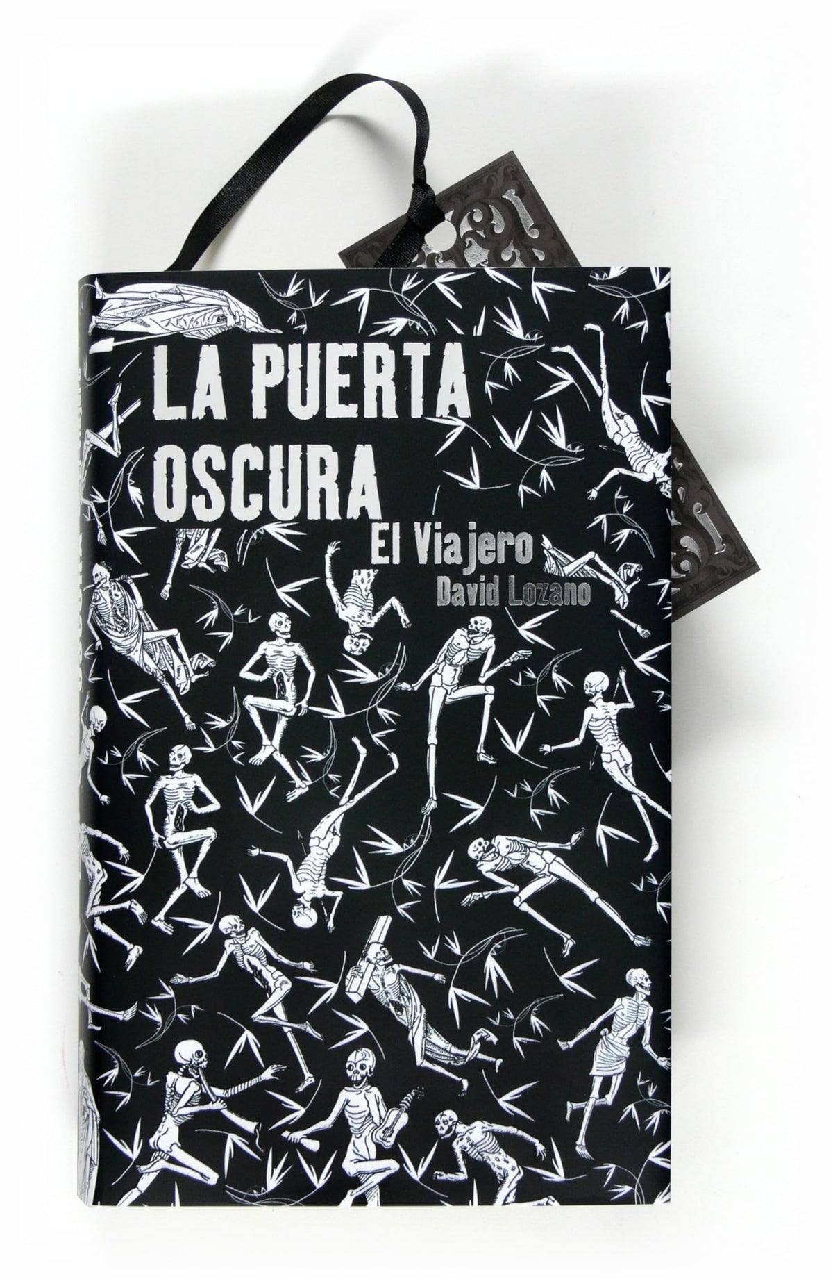 La puerta oscura I. El viajero (La Puerta Oscura/ the Dark Door) (Spanish Edition)