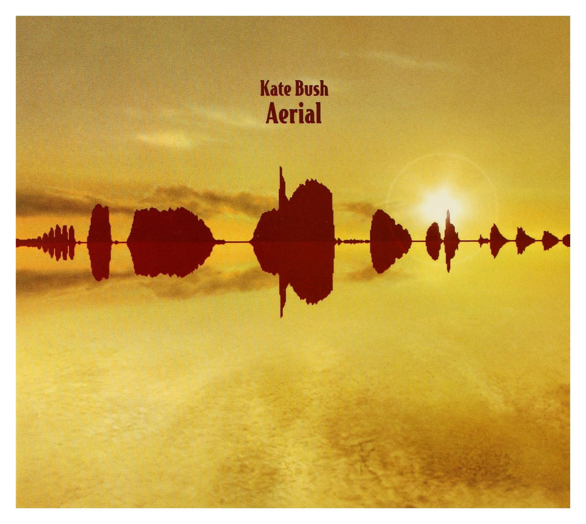 Aerial