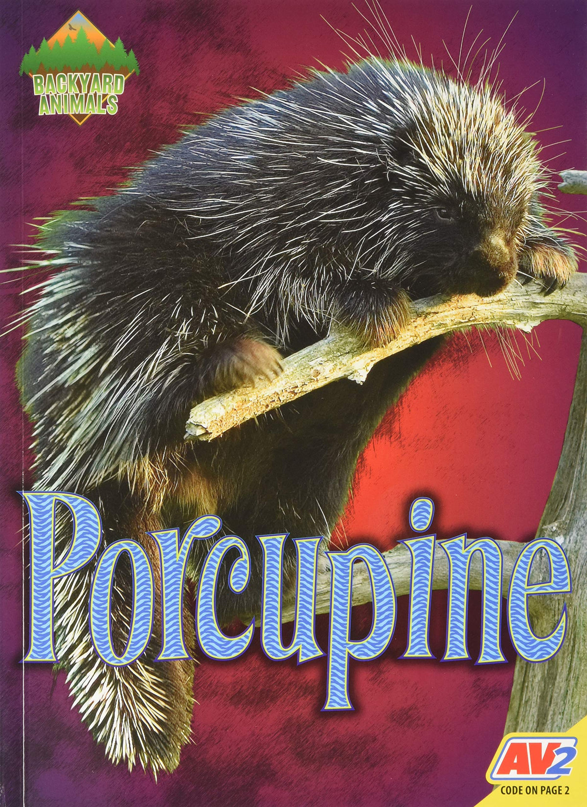 Porcupine (Backyard Animals)
