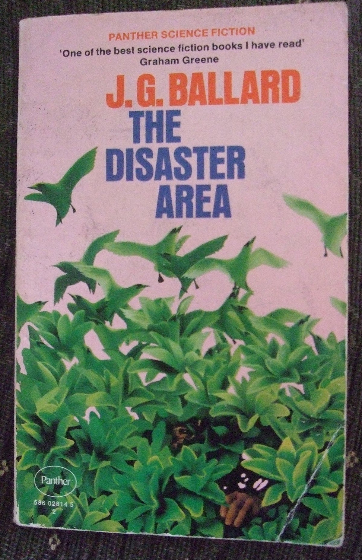 The Disaster Area