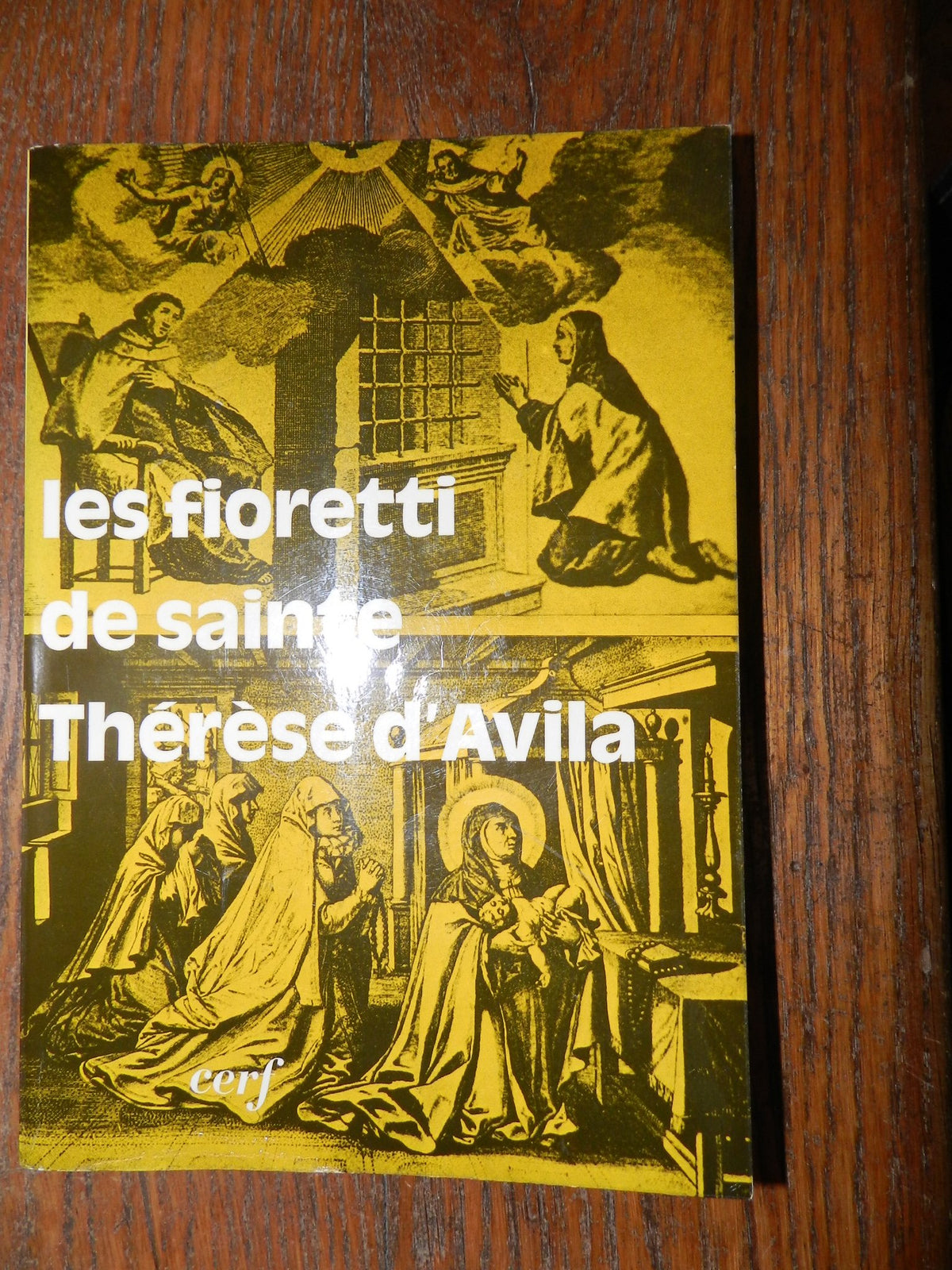 Les Fioretti de sainte Thérèse d'Avila (French Edition)