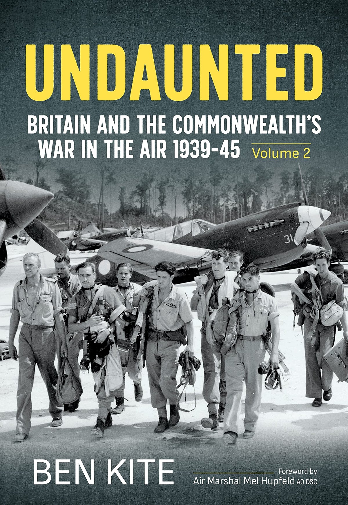 Undaunted: Britain and the Commonwealth's War in the Air 1939-45, Volume 2