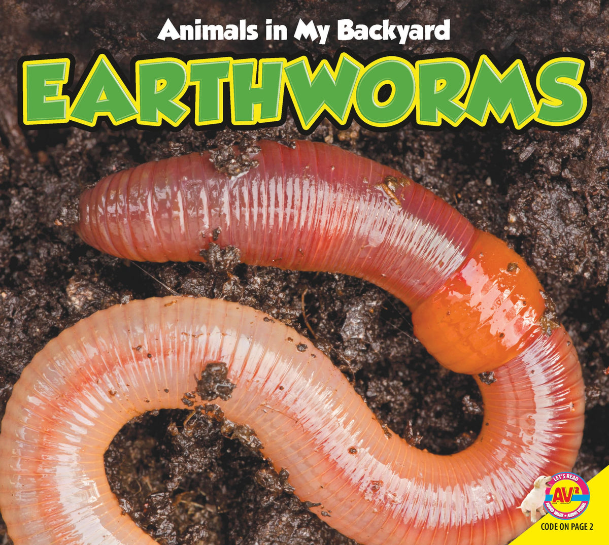 Earthworms (Animals in My Backyard)