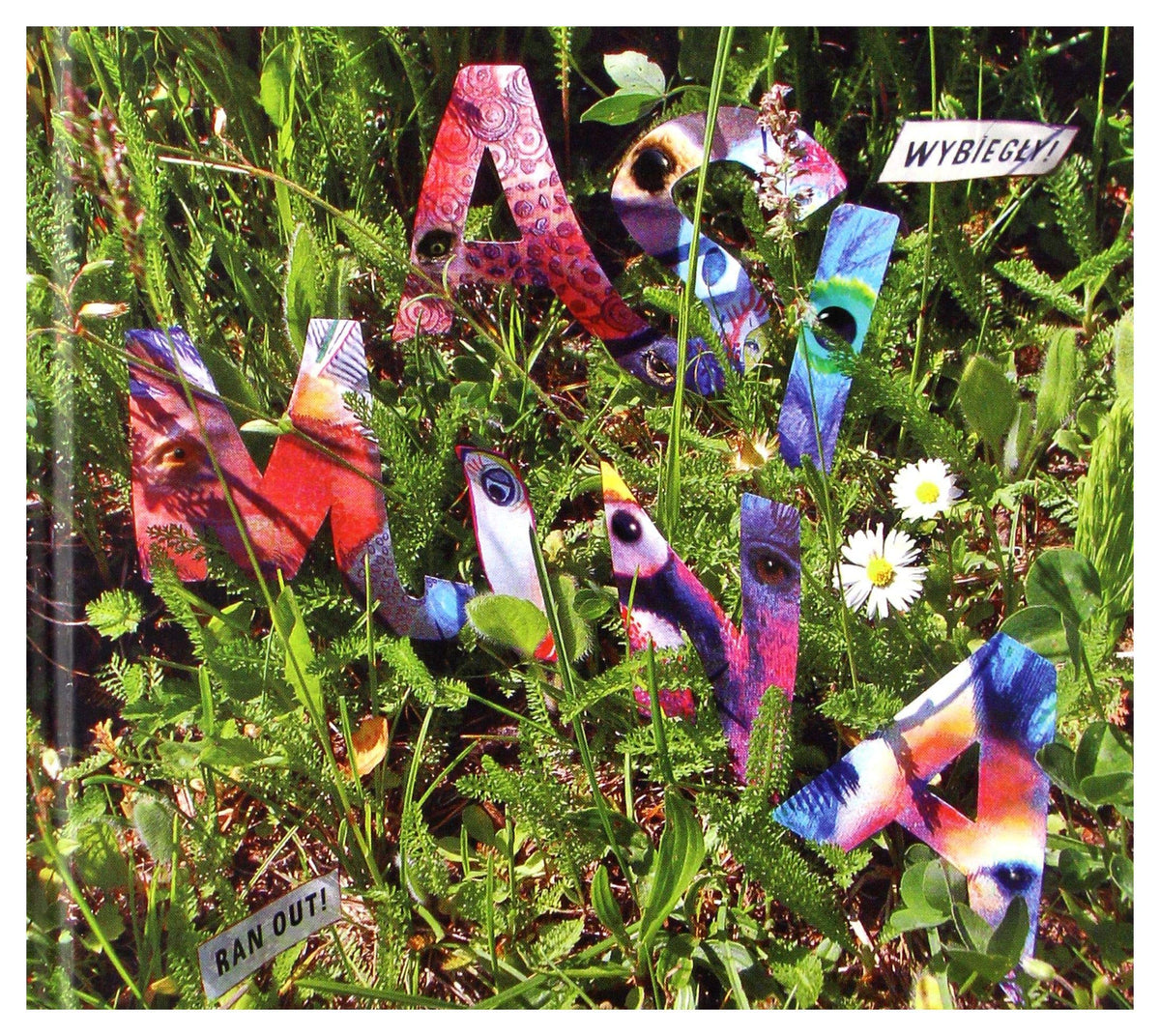 Asi Mina: WybiegĹ y [CD]