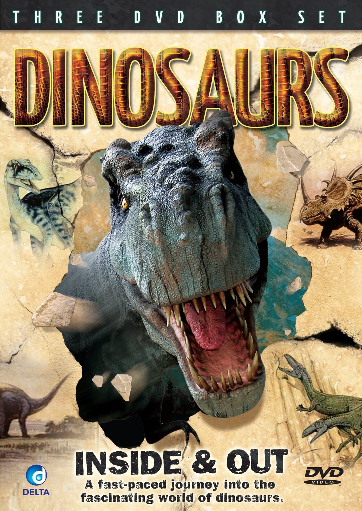 Dinosaurs Inside and Out [Import anglais]