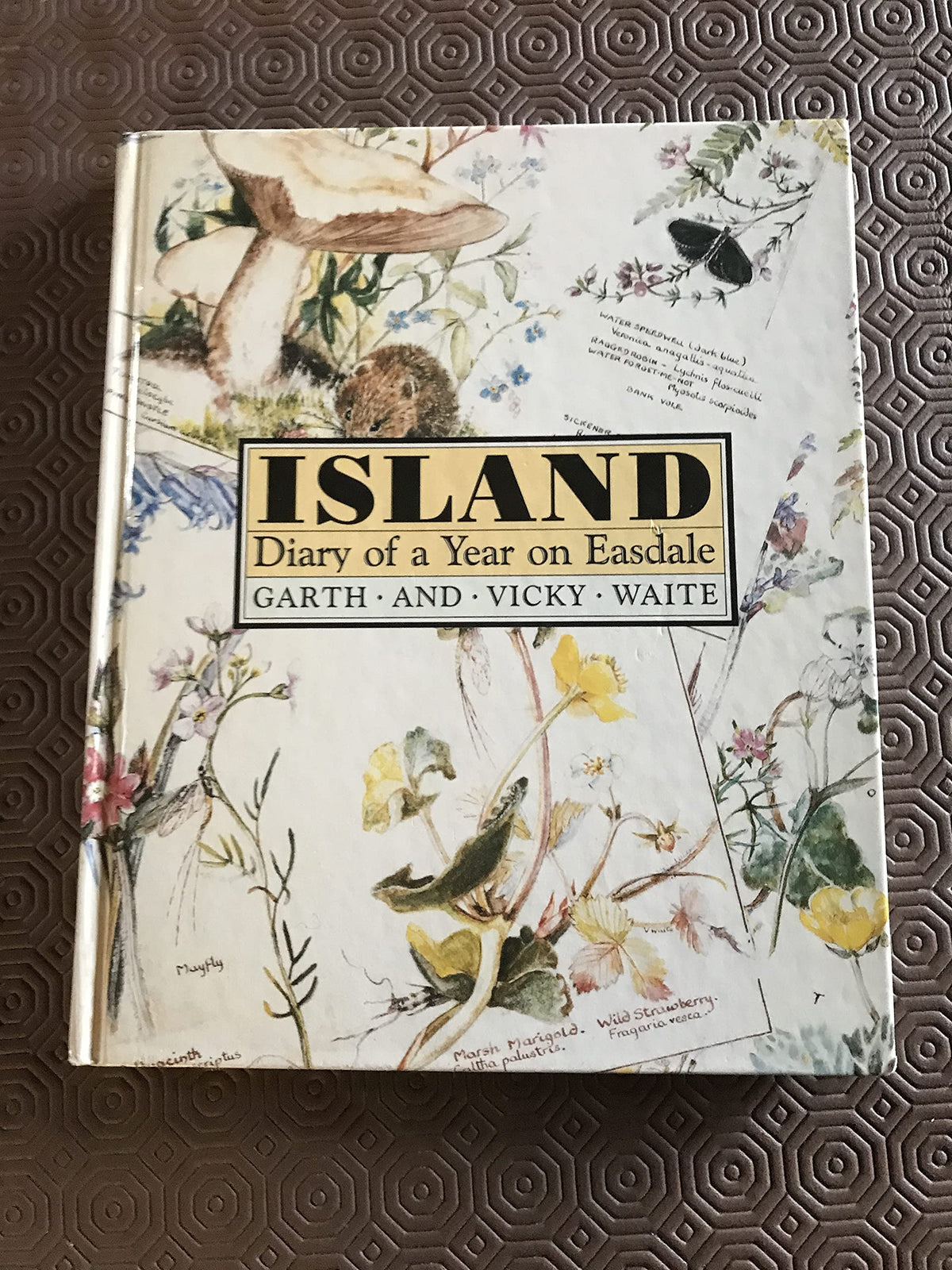 Island