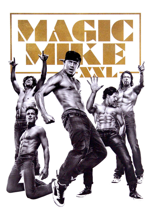 Magic Mike XXL [DVD] (English audio. English subtitles)