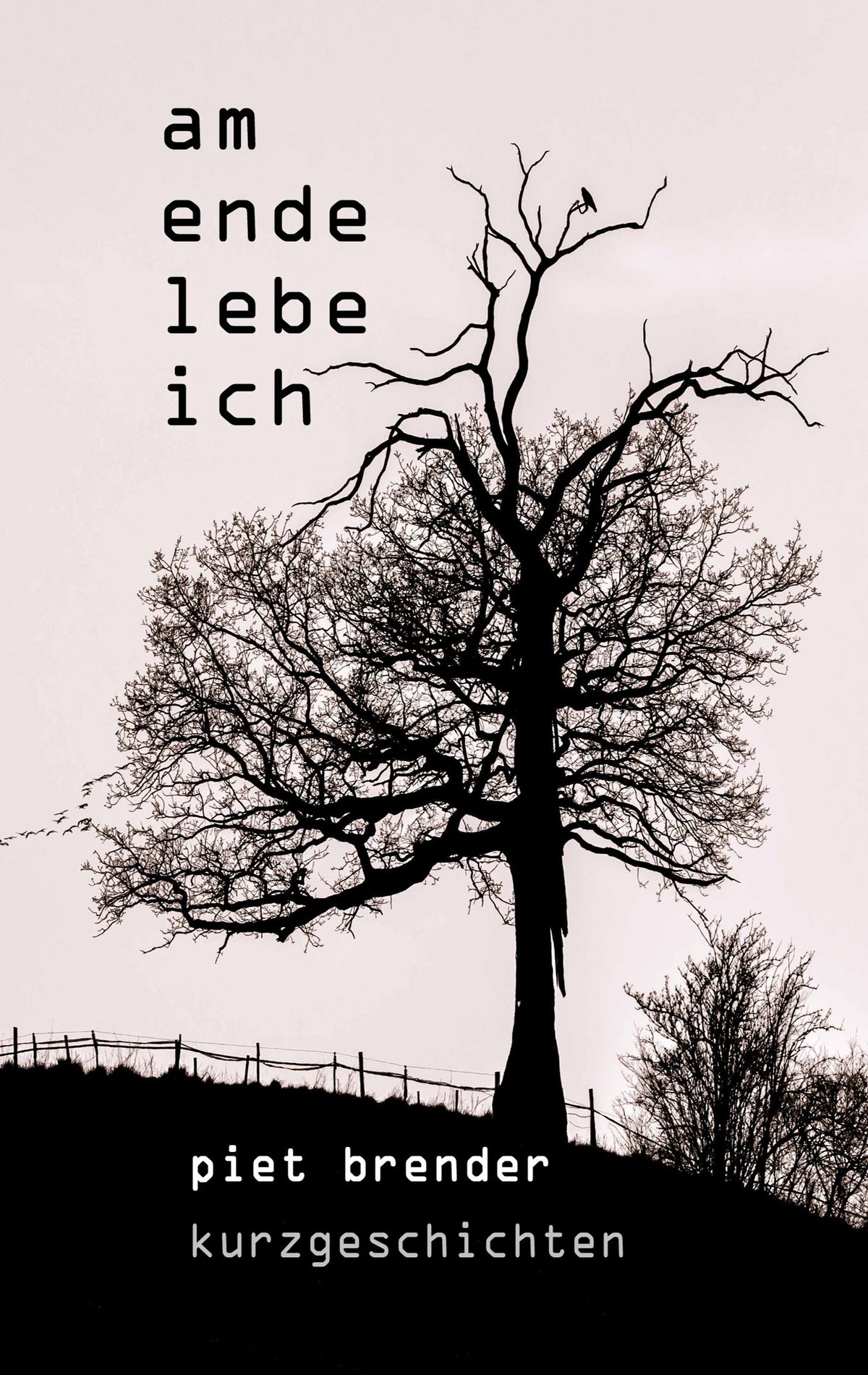Am Ende lebe ich (German Edition)
