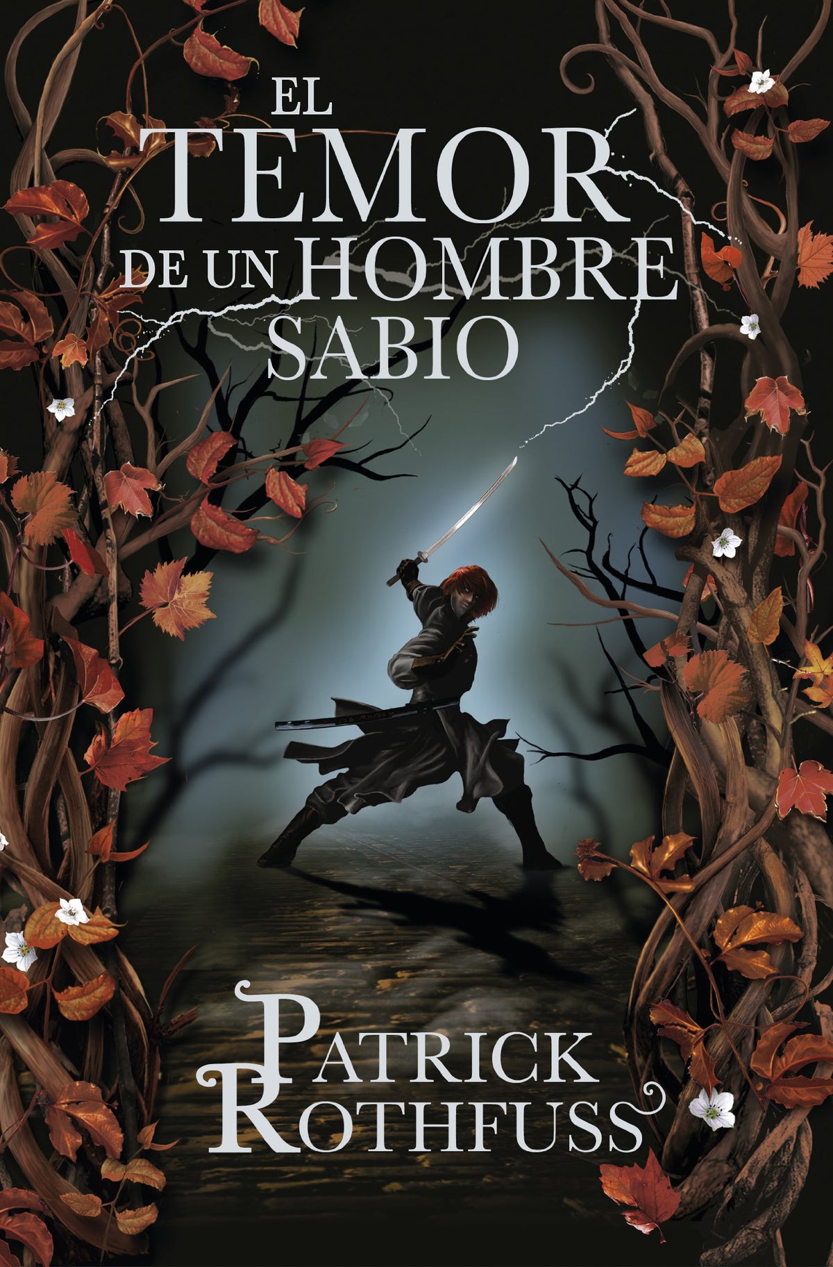 El temor de un hombre sabio (Crónica del asesino de reyes 2) (Cronica Del Asesino De Reyes / the Kingkiller Chronicles) 