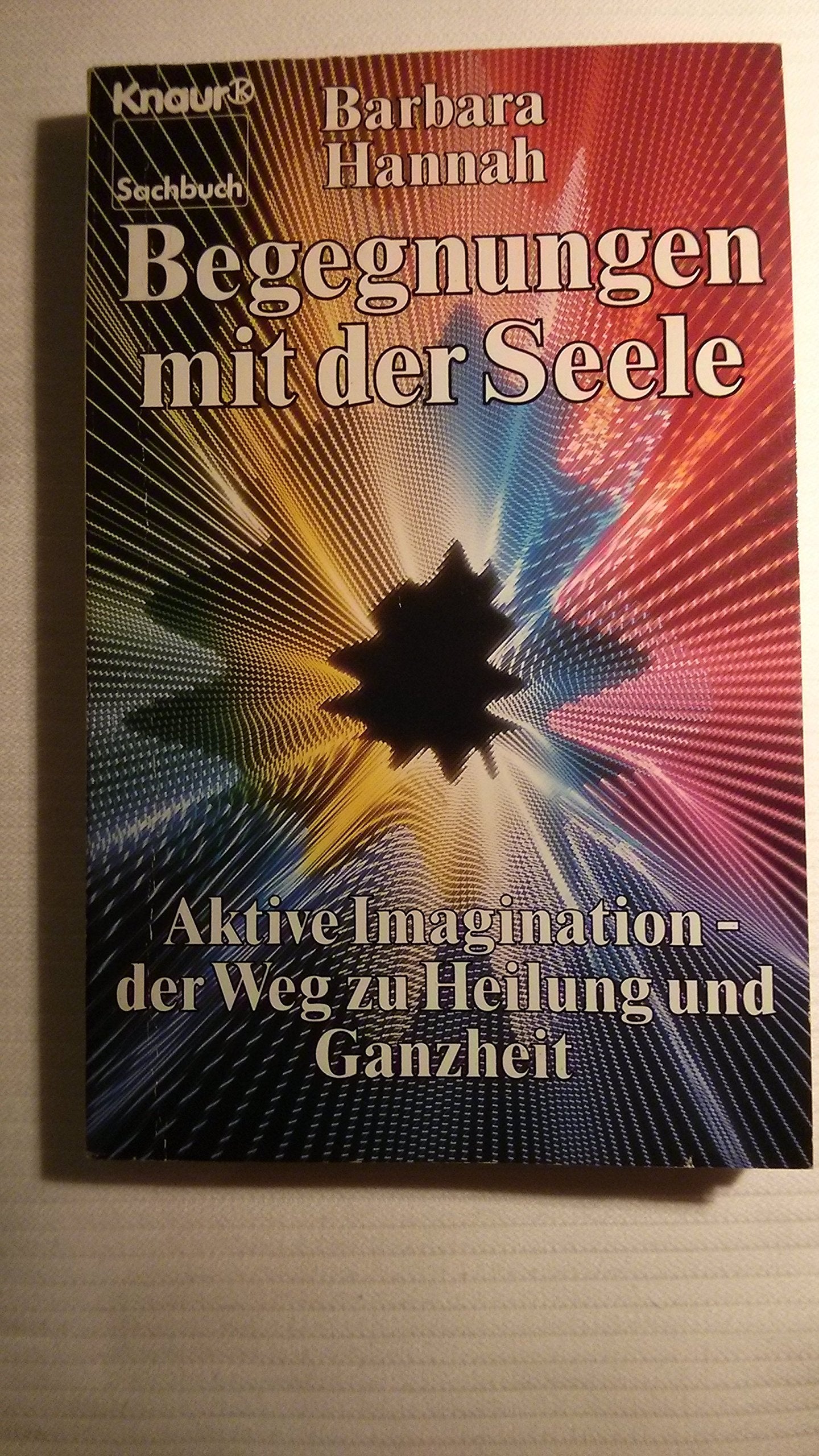 Begegnungen mit der Seele