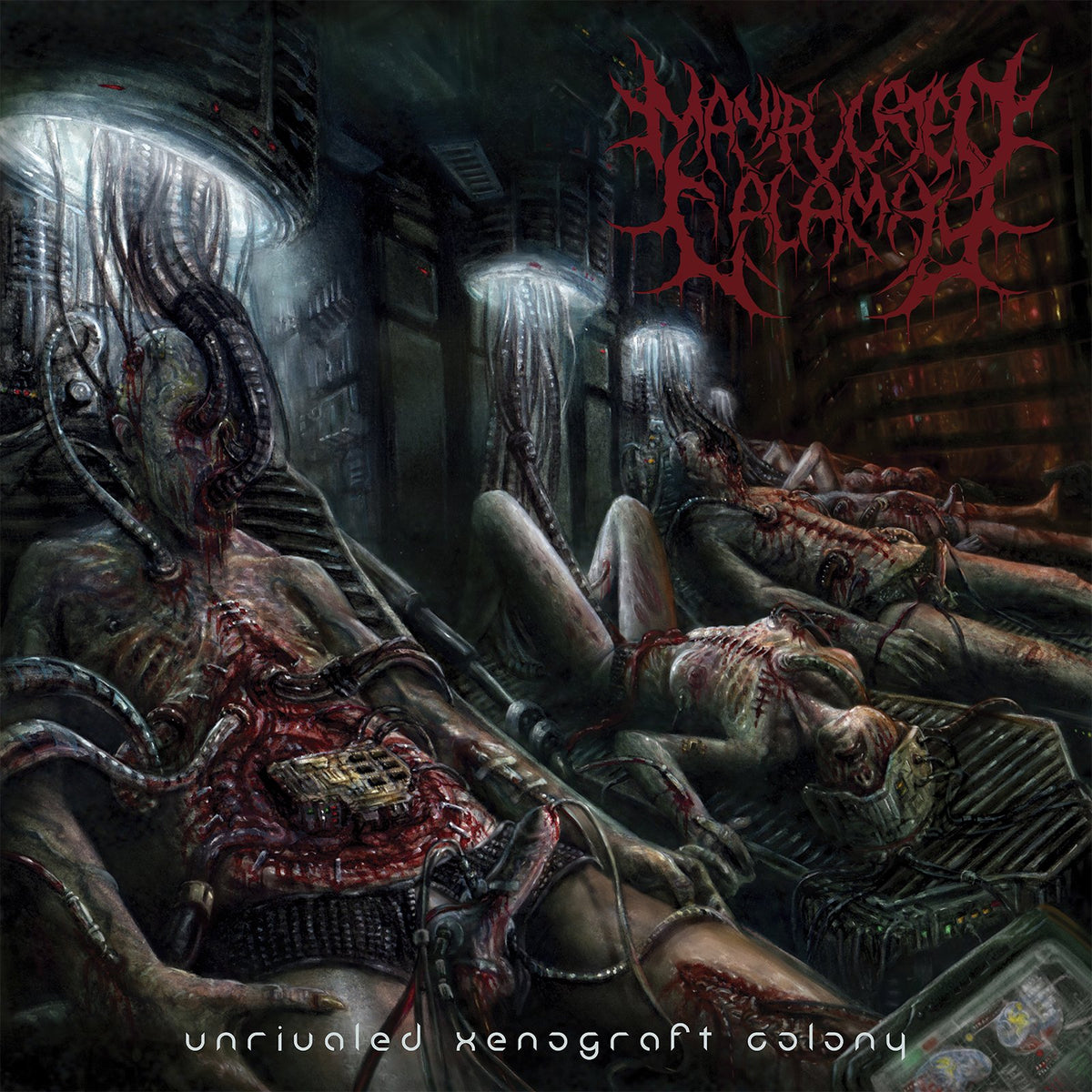 Unrivaled Xenograft Colony