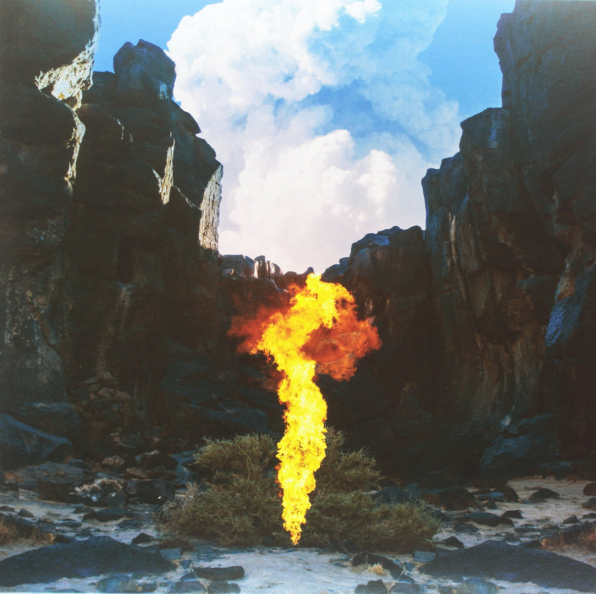 Migration (Deluxe/180G/Gatefold)