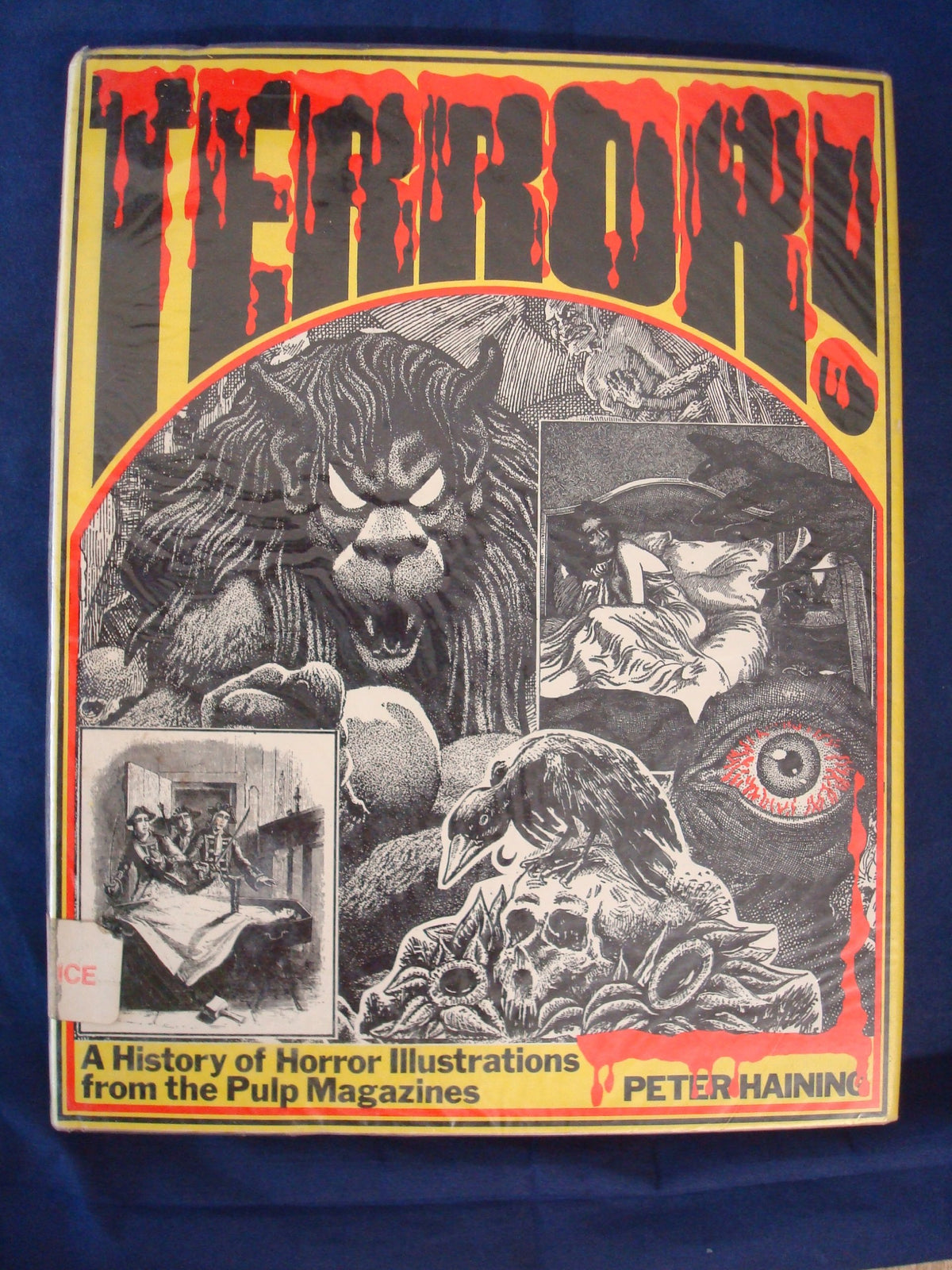 Terror!: A history of horror illustrations from the pulp magazines