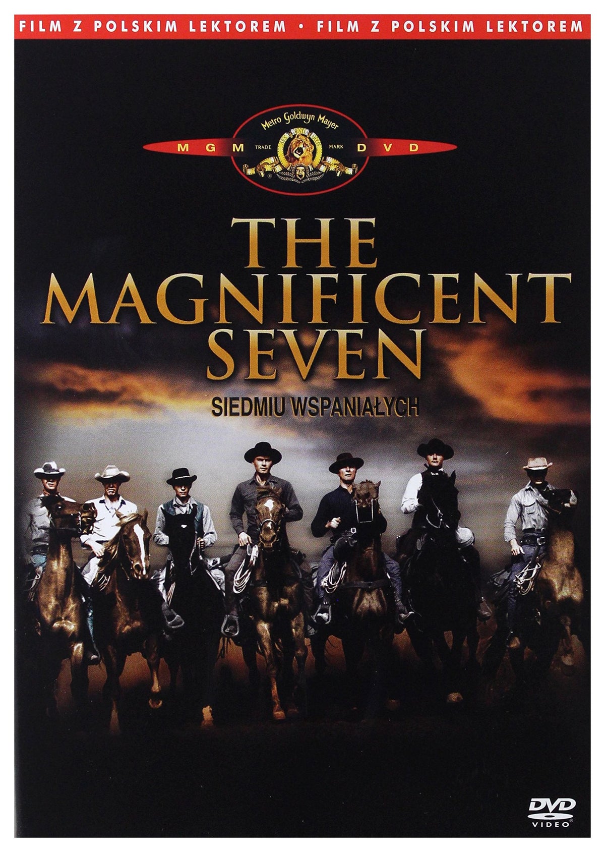 The Magnificent Seven [DVD] (English audio. English subtitles)