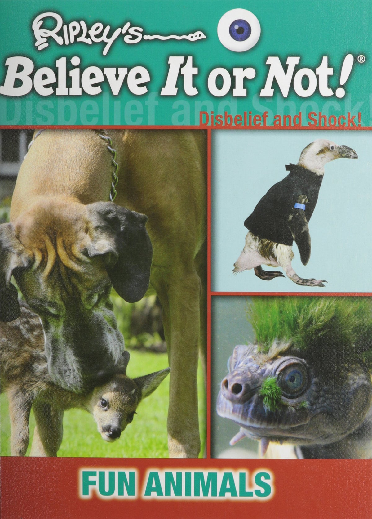 Fun Animals (Ripley's Believe It or Not! Disbelief and Shock!)