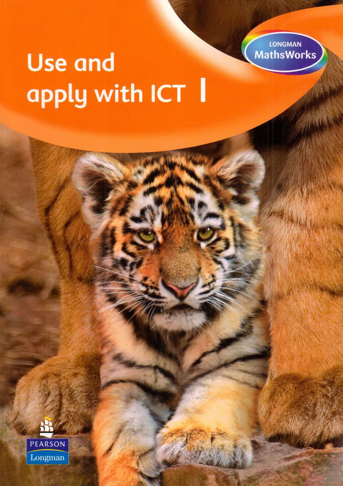 Use and Apply with ICT: Year 1 (Maths Framework): 100+ Extra Activities for Mathsworks Software