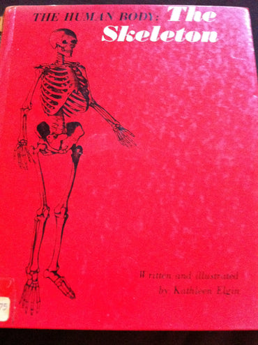 The Human Body: The Skeleton