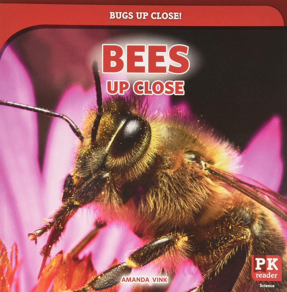 Bugs Up Close! Set