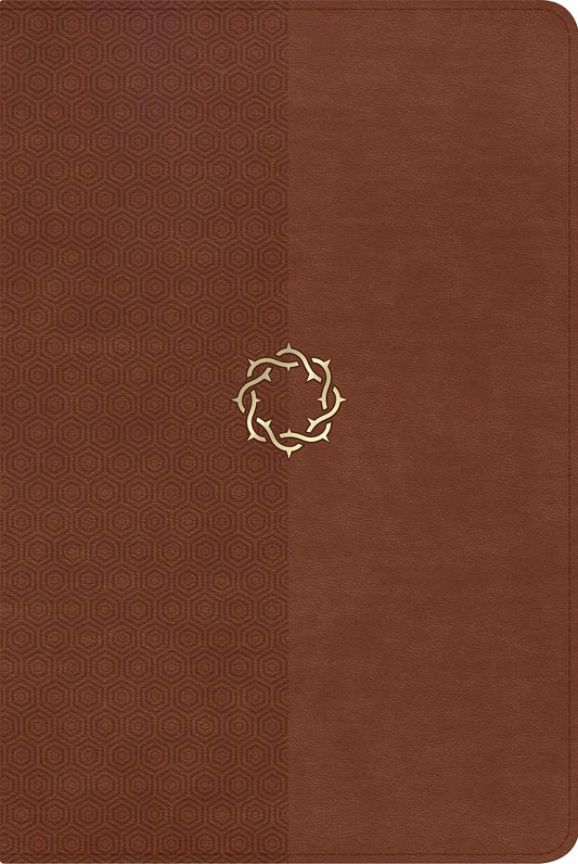 The HCSB Essential Teen Study Bible, Walnut LeatherTouch