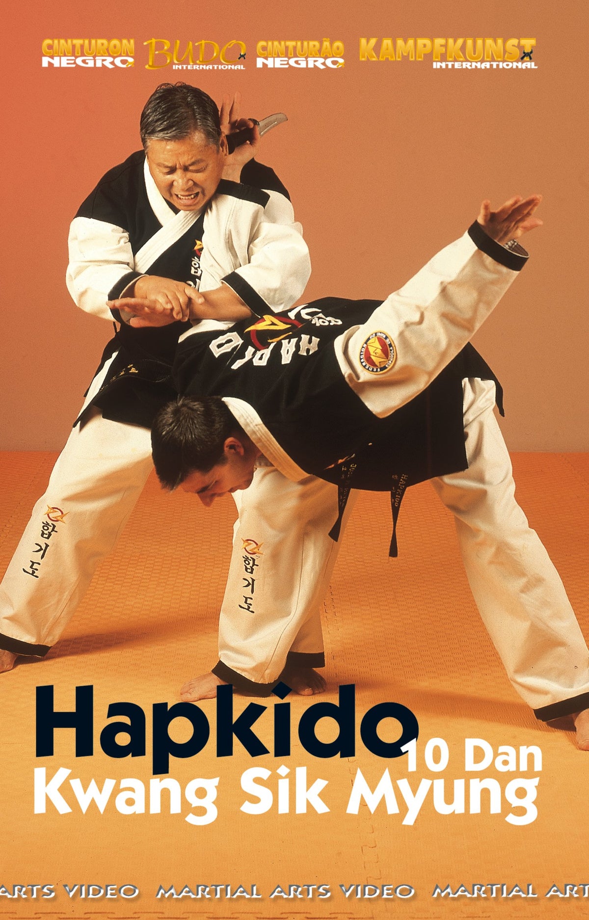 Hapkido W.H.F [DVD]