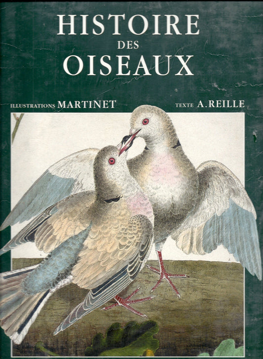 histoire des oiseaux