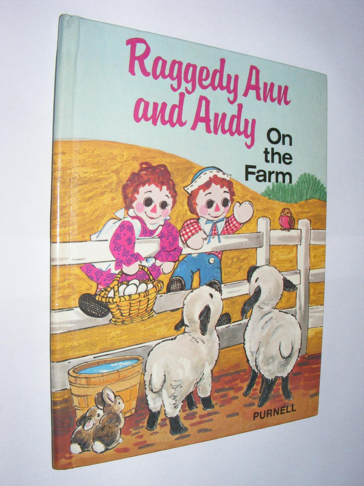 Raggedy Ann and Andy on the Farm (New All Colour)