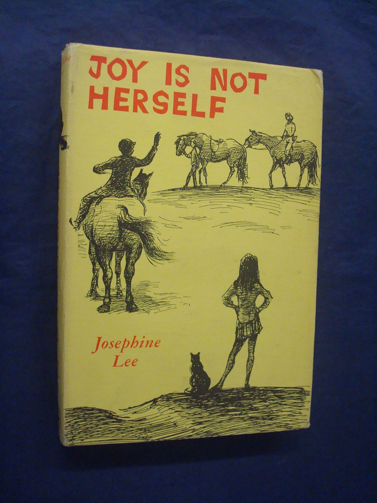 Joy is Not Herself